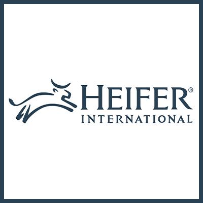 Heifer Heifer